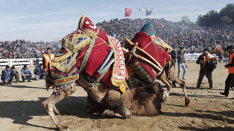 Imagen: Go Turkey